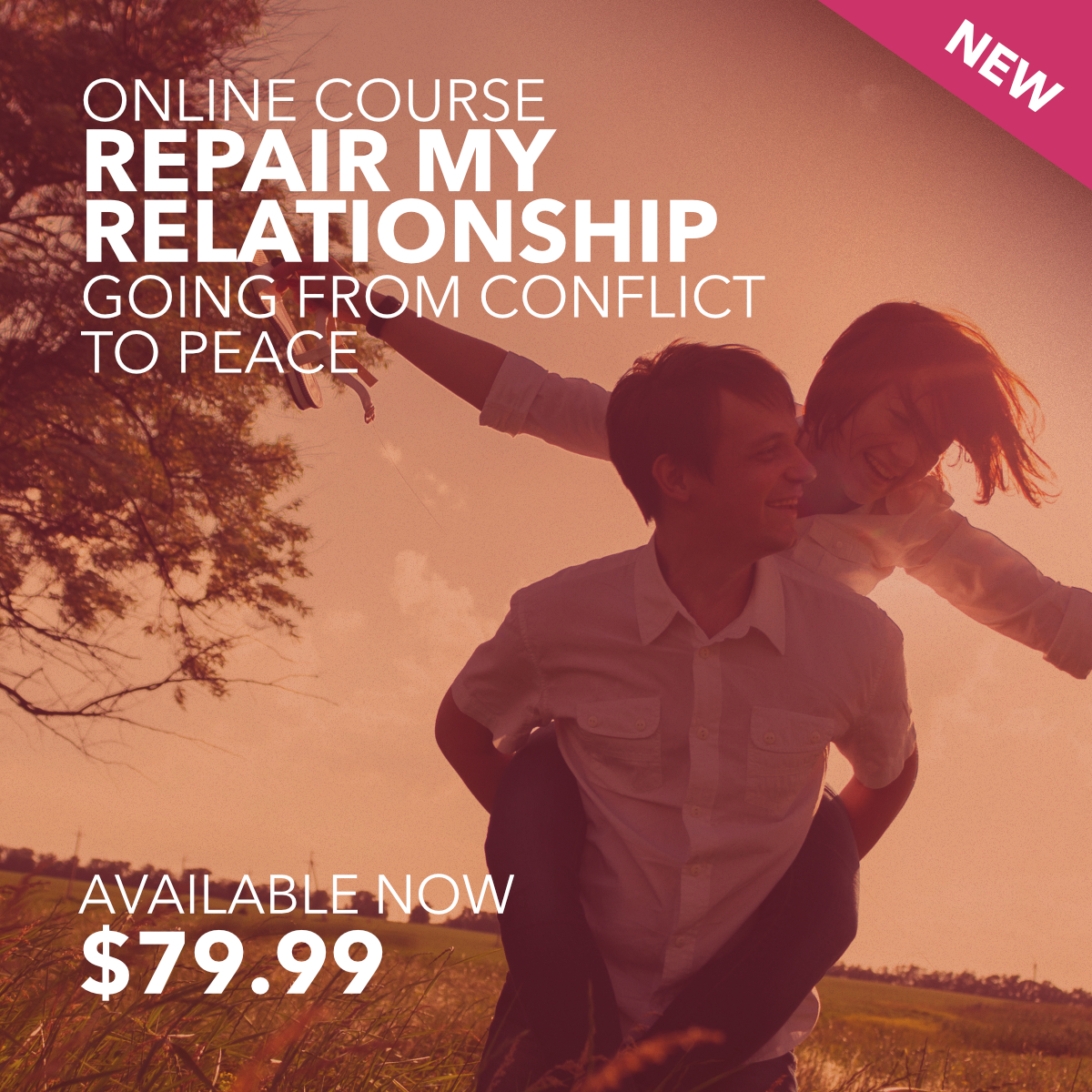 Repair My Relationship - going from conflict to peace
